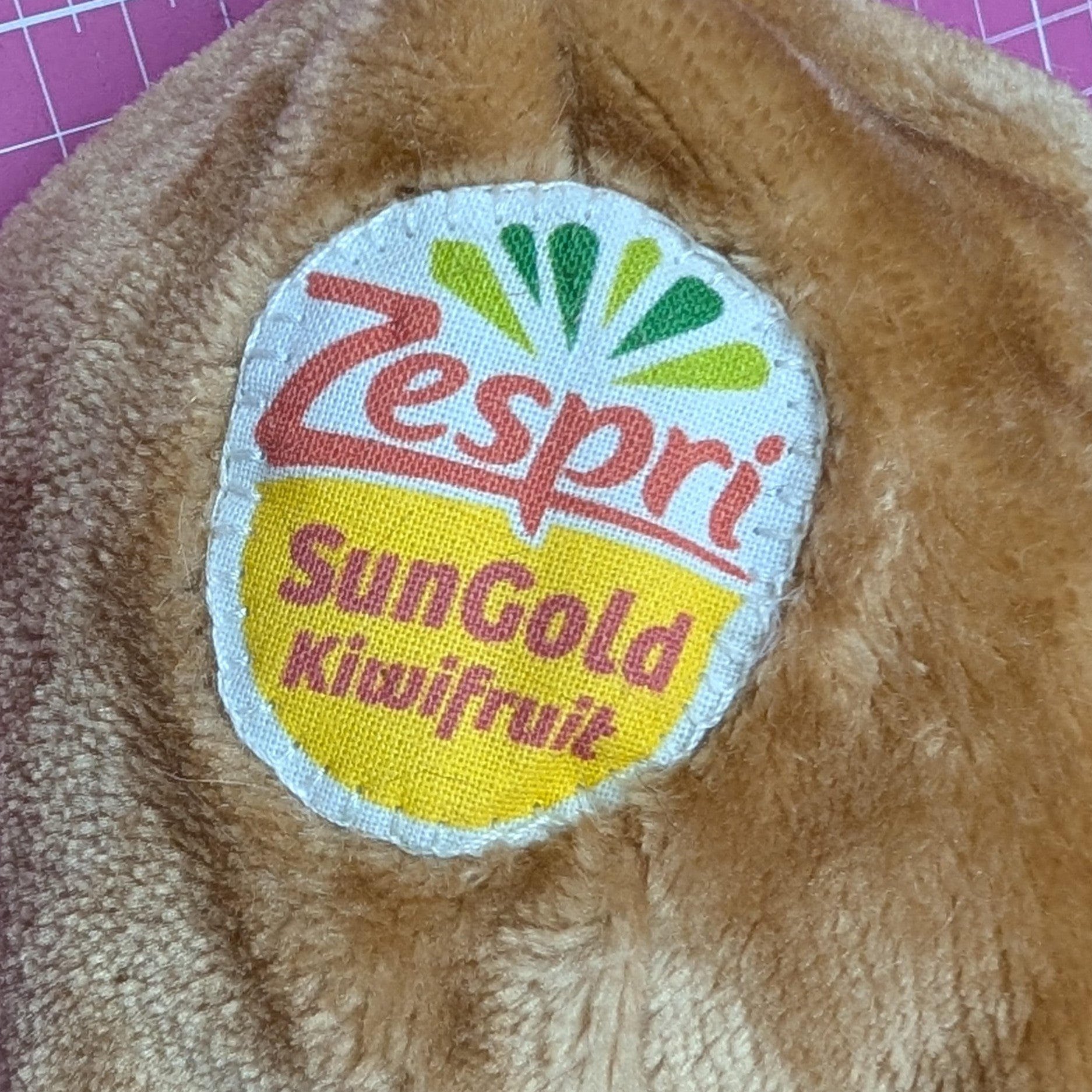 Kiwi sleeping bag logo